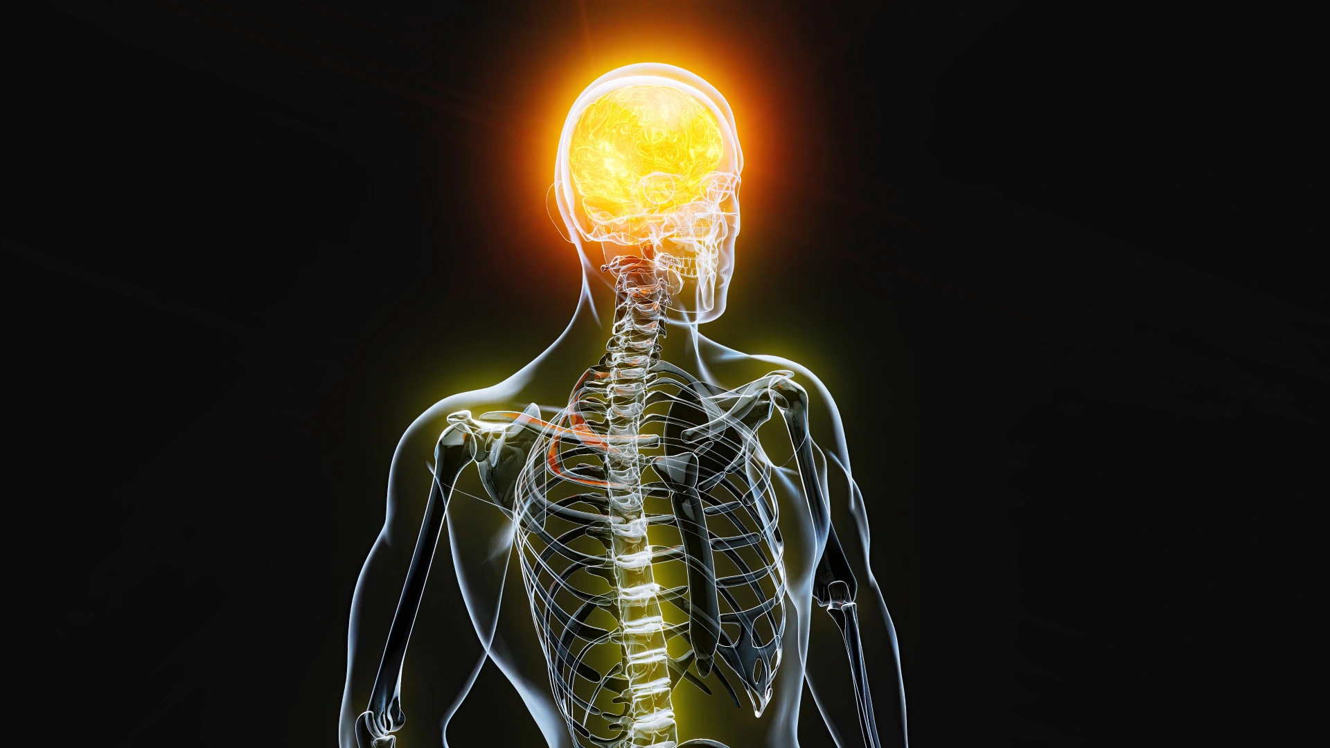 Congenital Brain & Spinal Cord Disorders: A Comprehensive and Accessible Guide